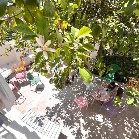 Chillout * ליסבון